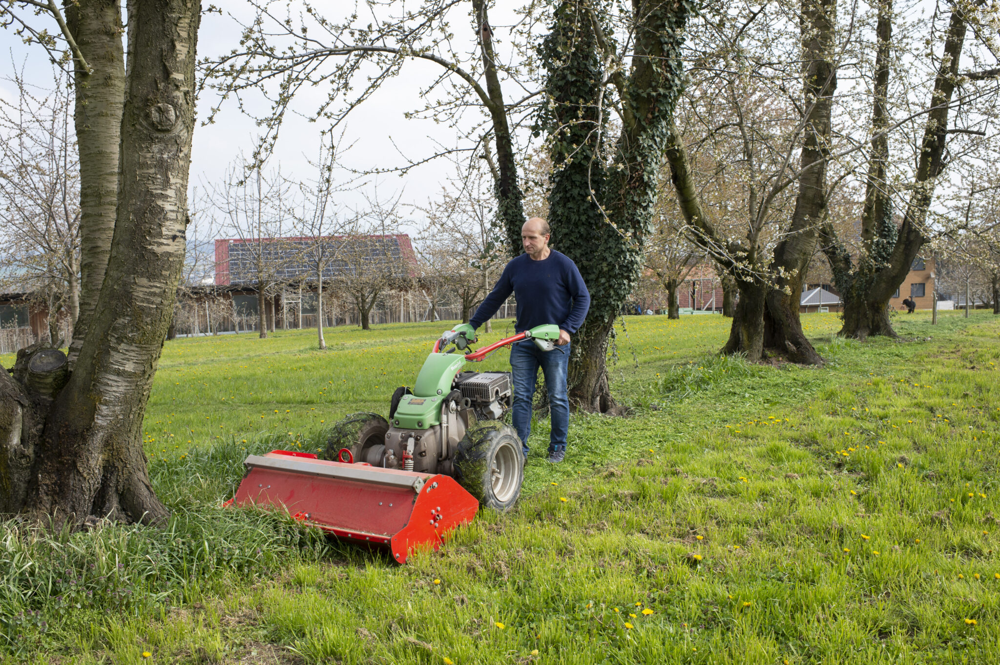 Landwirtschaft & Ernährung regioS