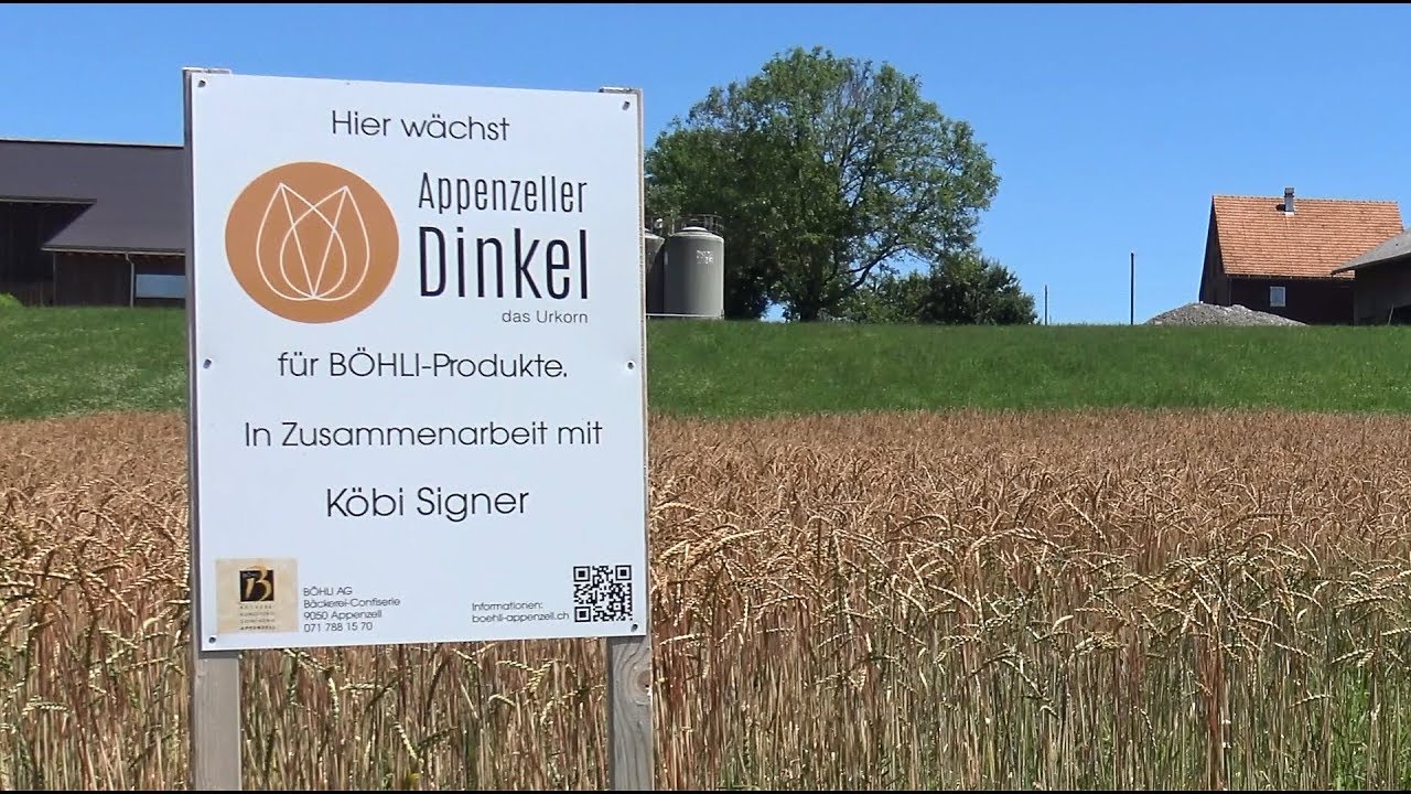 NRP im Terrain: Appenzeller Dinkel 